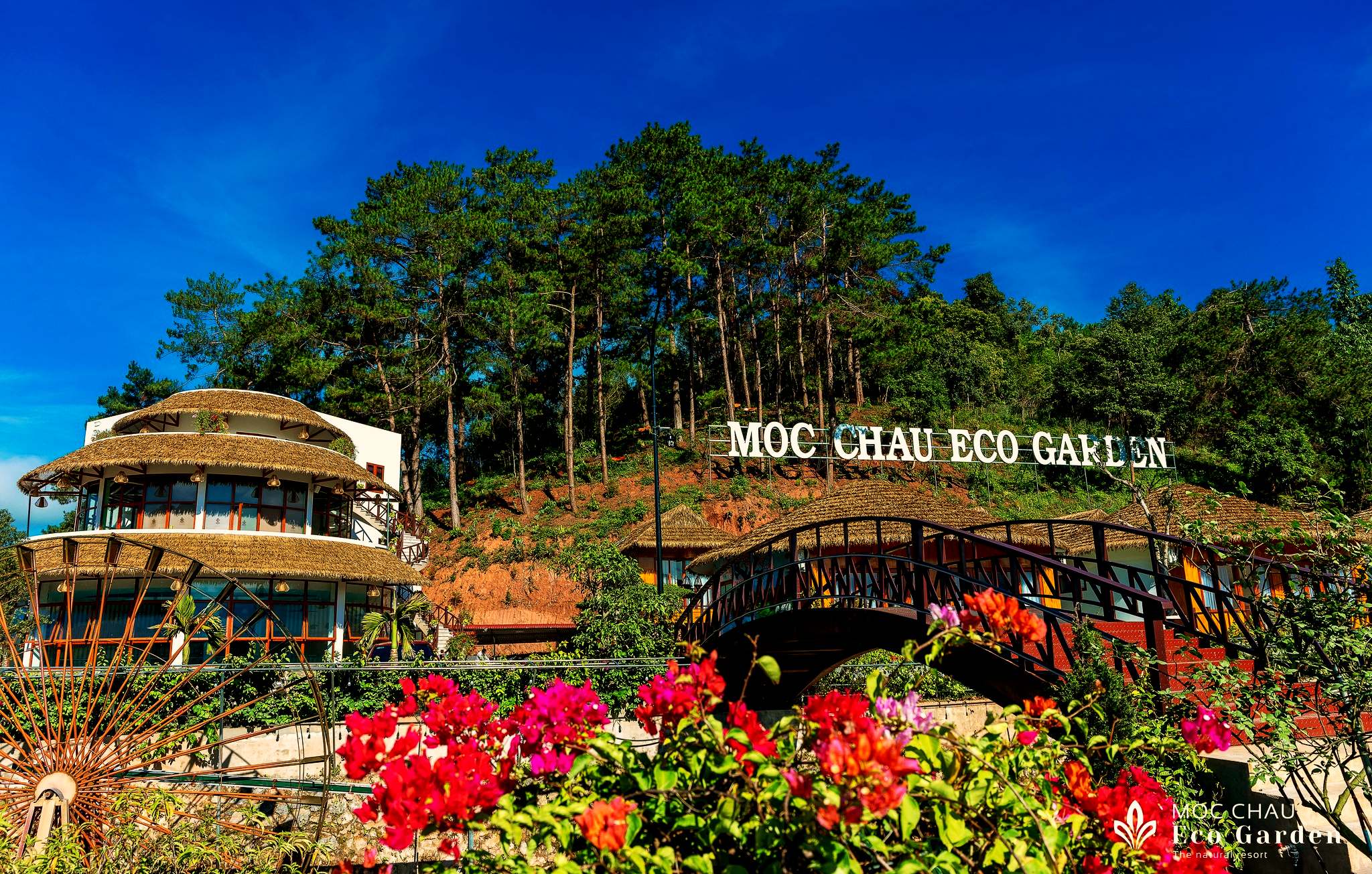 Tổng quan